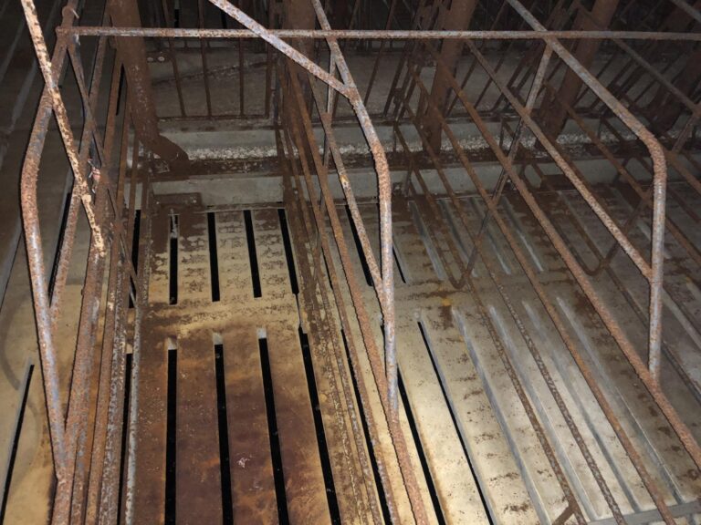 Swine Facility-1-1577486190