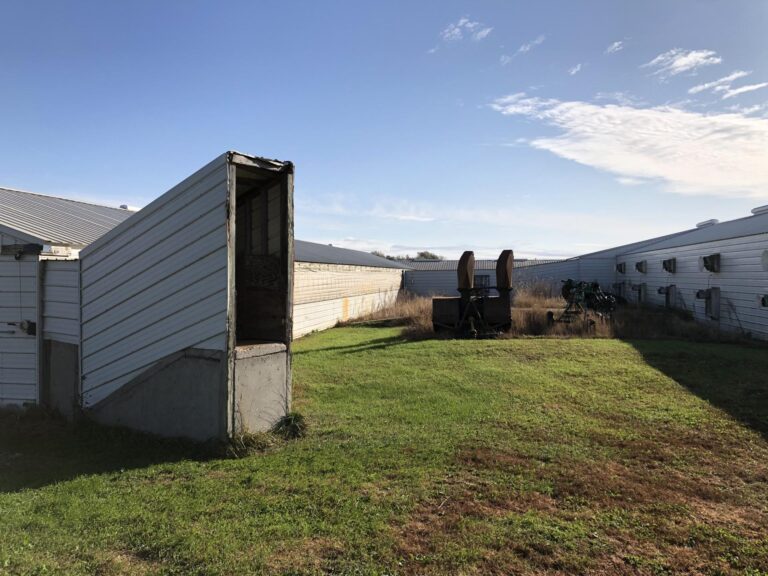 Swine Facility-10-1577485708