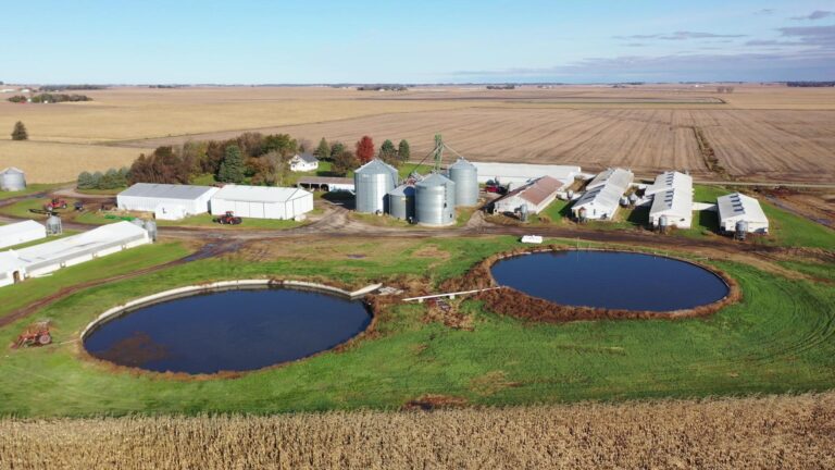 Swine Facility-4-1577485560