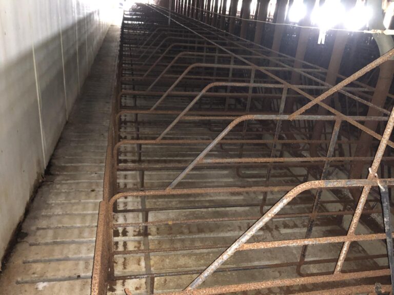 Swine Facility-4-1577486144