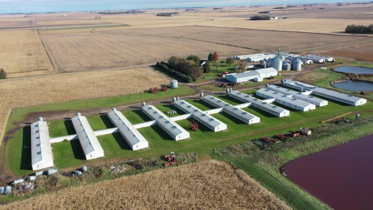 Swine Facility-5-1577485590