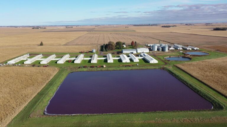 Swine Facility-7-1577485634