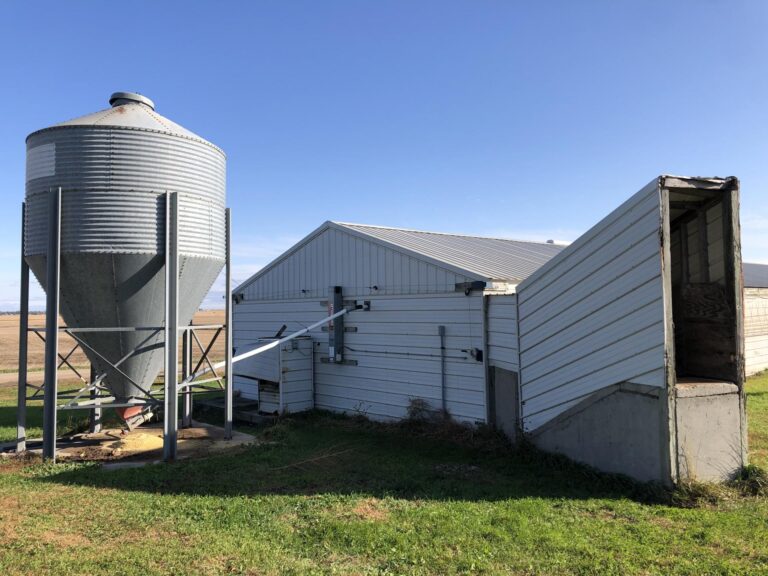 Swine Facility-9-1577485689