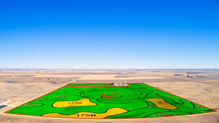 T1 Soil Overlay Label