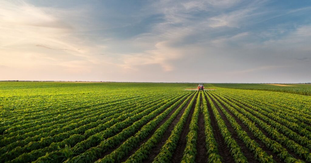 A Complete Guide to Farm Succession Planning