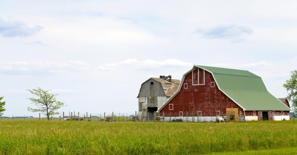 How To Evaluate a Farm Management Contract