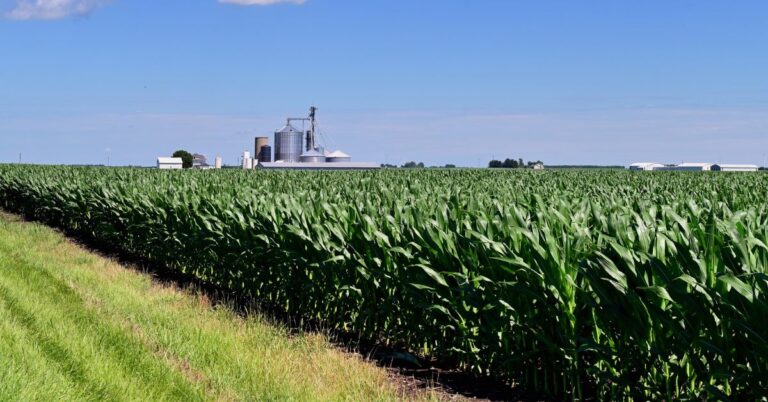 How To Evaluate a Farm Management Contract