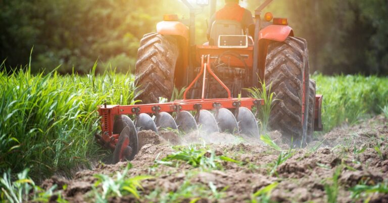 How To Get Started in the Farming Business