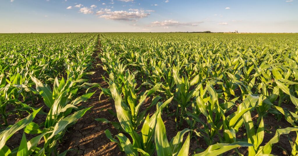 Pros & Cons: Selling Part of a Farm for Commercial Property
