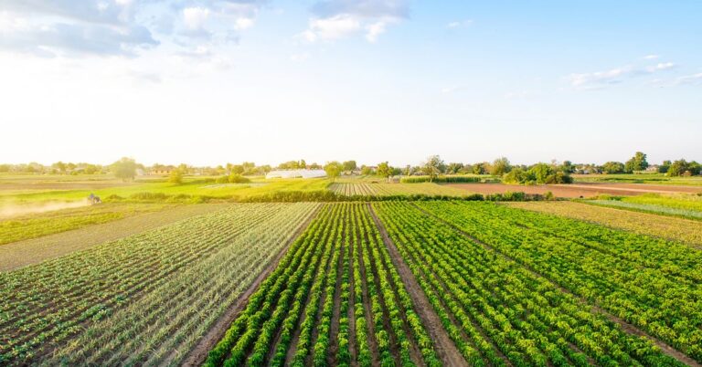 Pros & Cons: Selling Part of a Farm for Commercial Property