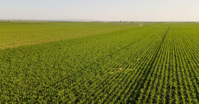 Steps in Changing Farmland to Commercial Use