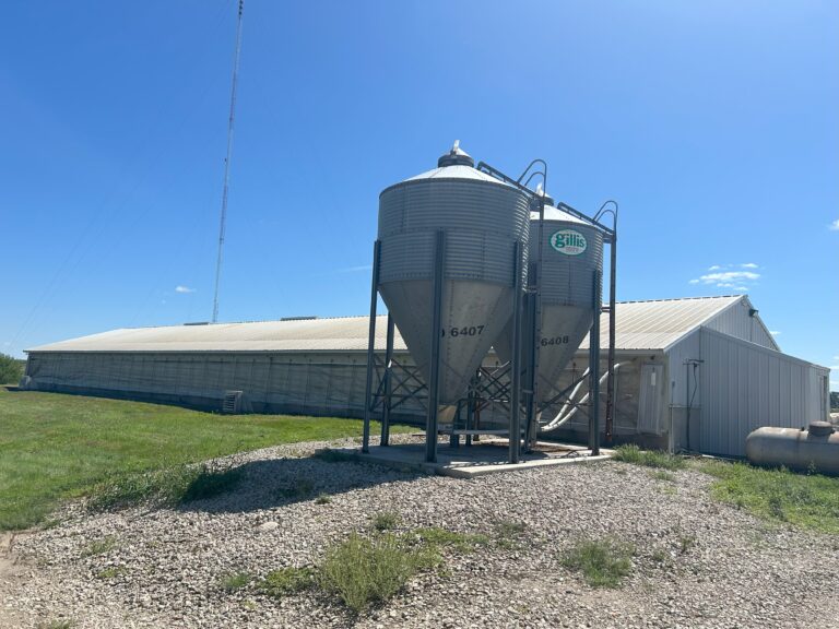 Dale Christiansen-12