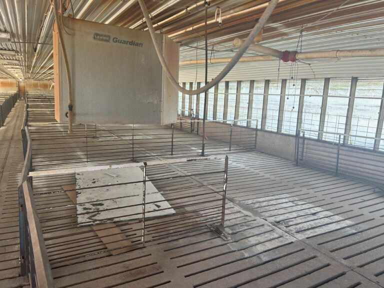 Dale Christiansen-13