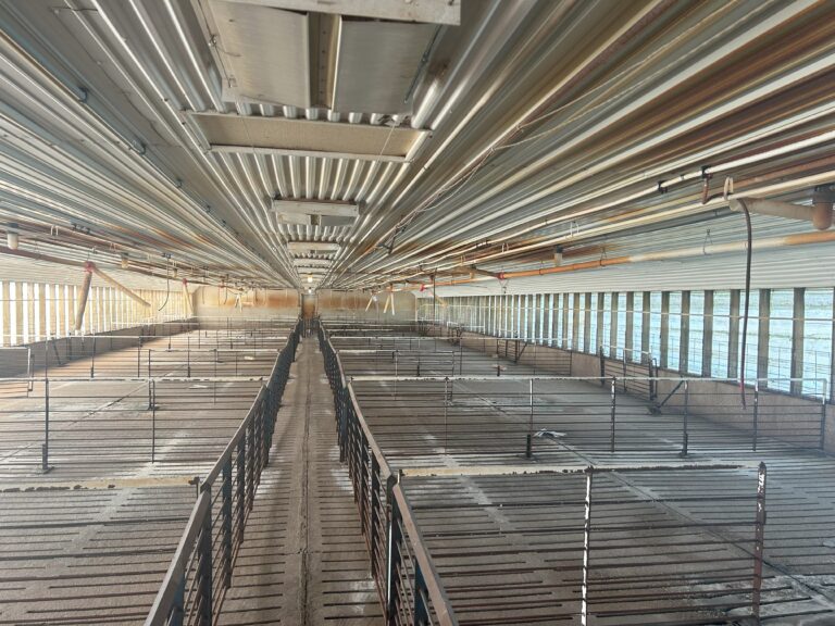 Dale Christiansen-14