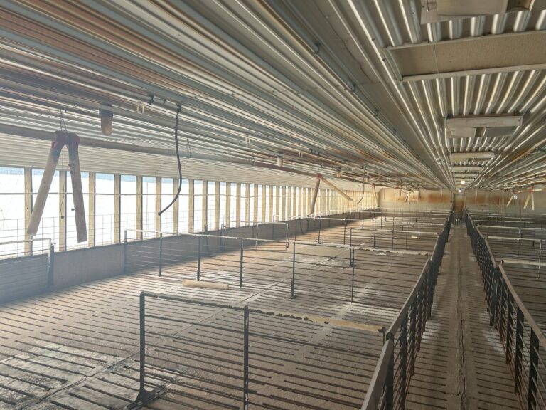 Dale Christiansen-15