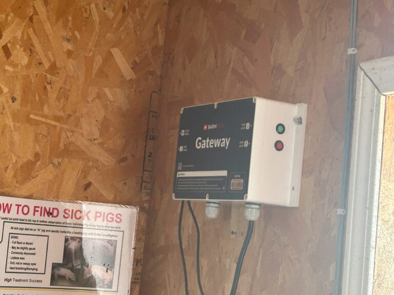 Dale Christiansen-17