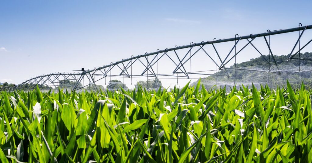 Valuing Easements in Farmland Transactions