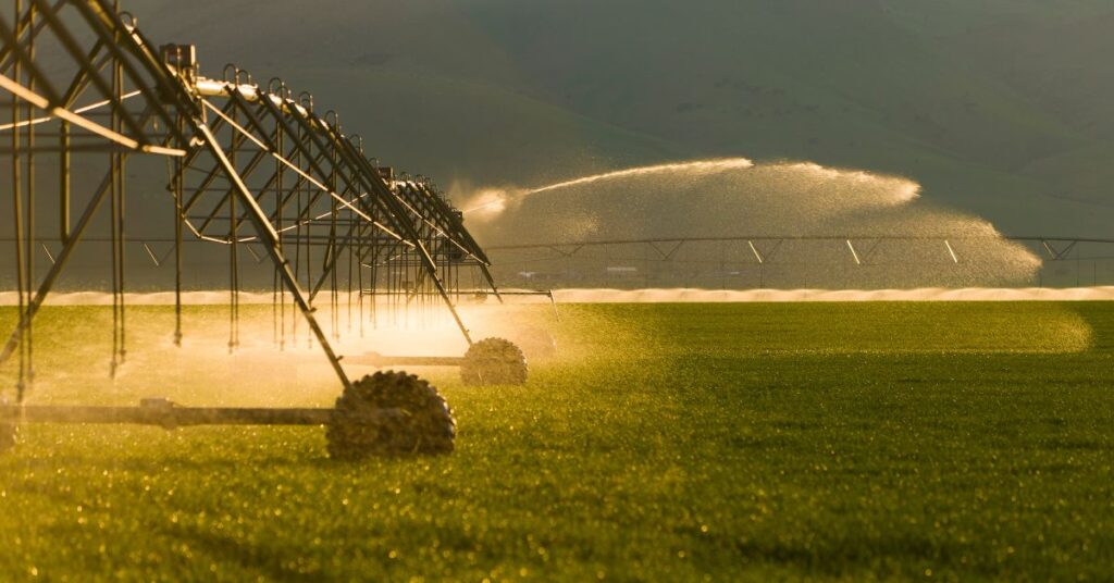 Key Advisors Needed for a Sustainable Farm