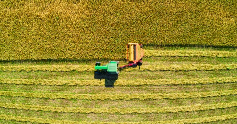 Integrating Insurance & Contingency Plans in Farm Operations