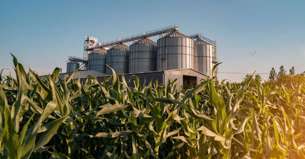 6 Key Responsibilities of a Farm Manager

