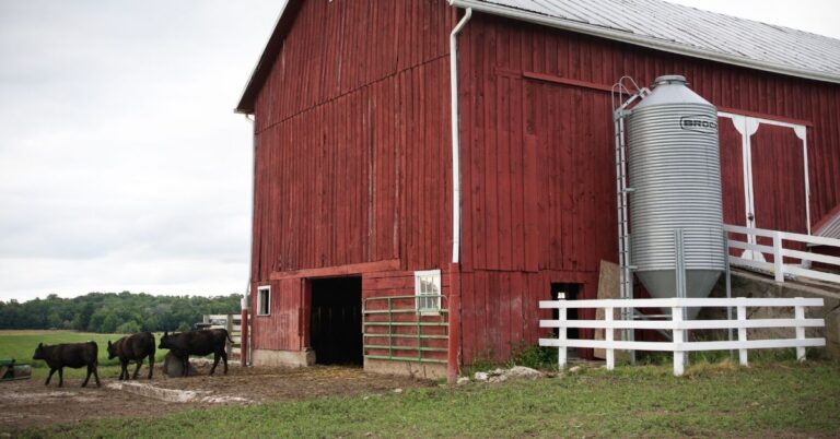 6 Key Responsibilities of a Farm Manager