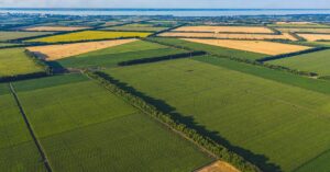 Auctioneer vs. Real Estate Broker Roles in Farm Sales