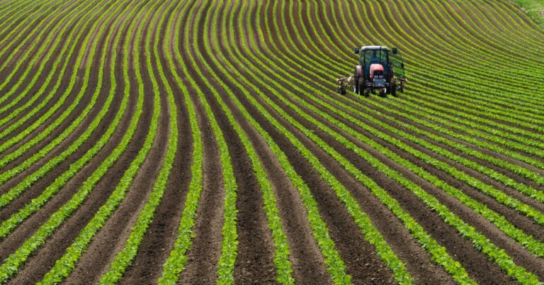 Tax Benefits of Owning Agricultural Land