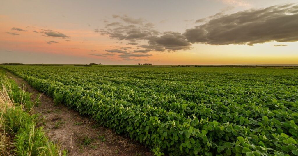 Tax Benefits of Owning Agricultural Land