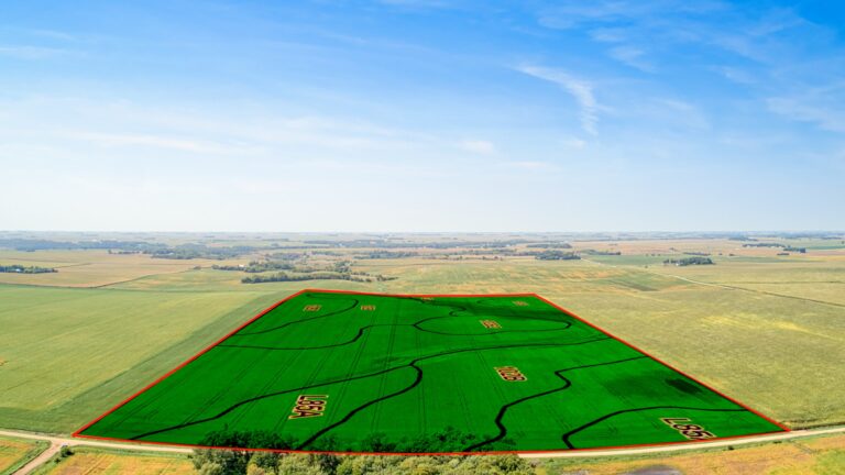 Soil Overlay East Side