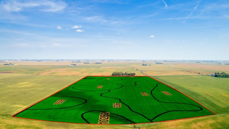 Soil Overlay West Side