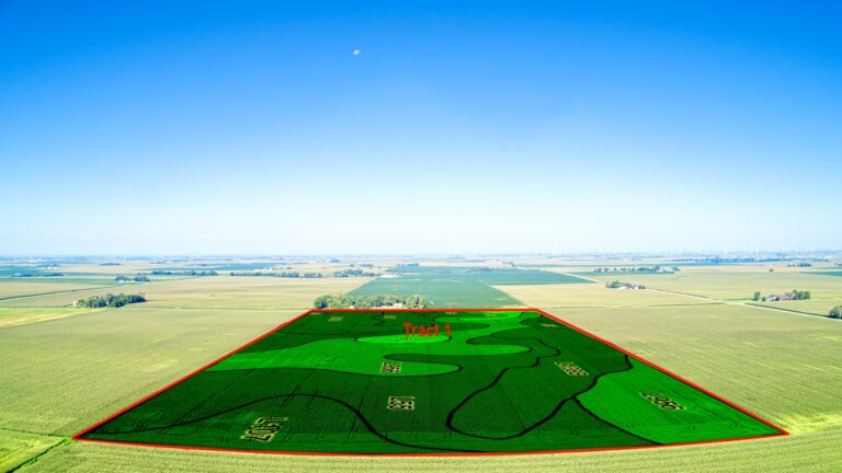 Tract 1 Soil Overlay Label (4)