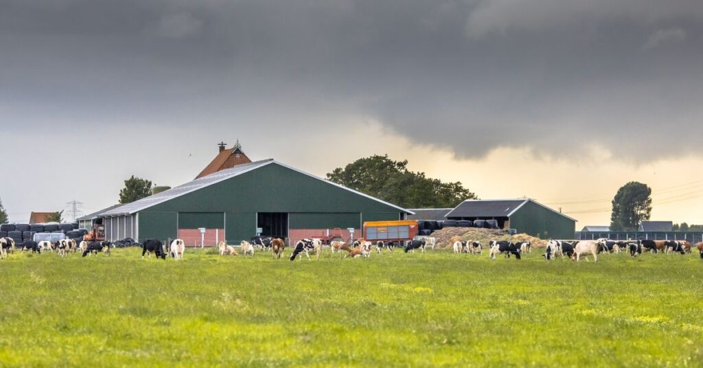 Understanding Farm Profitability Metrics