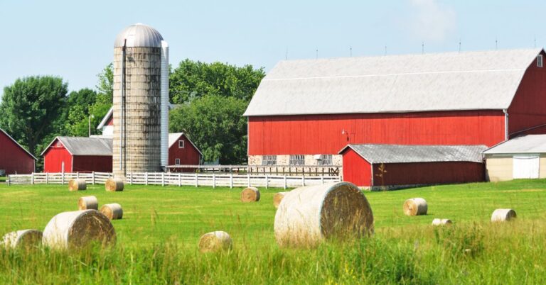 Understanding Tax Benefits of Leasing Farm Buildings