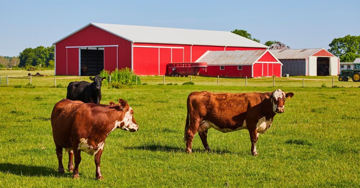 Understanding Tax Benefits of Leasing Farm Buildings