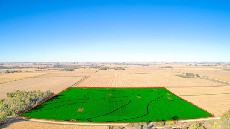 Soil Overlay (East Side)