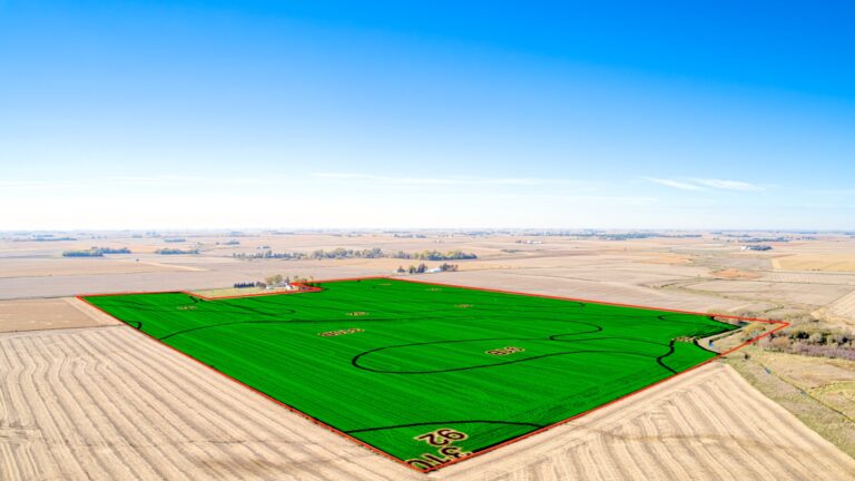 Soil Overlay NE Corner (2)