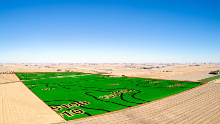 Soil Overlay SW Corner