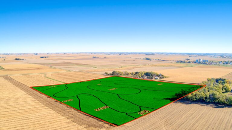 Soil Overlay (SW Corner)