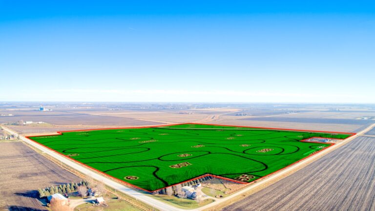 Soil Overlay SW Corner (2)