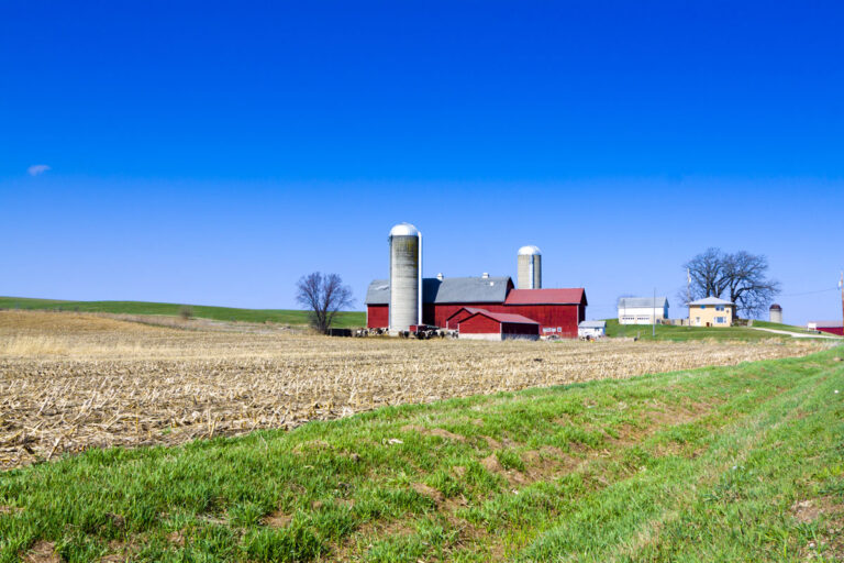 Farm Lease Structures in Iowa