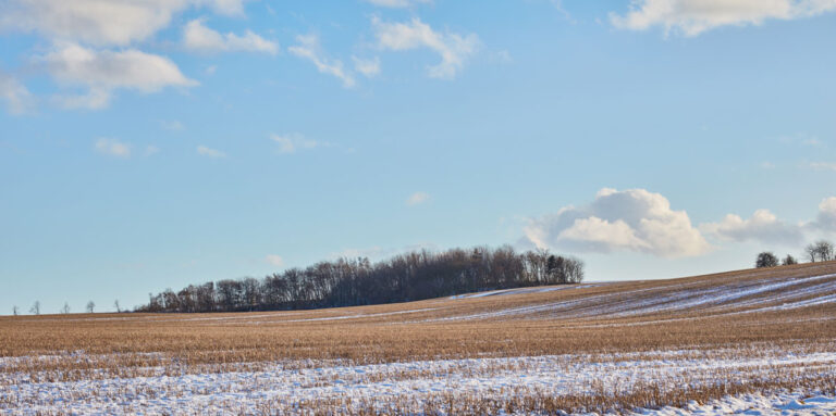 Farmland Sale Timing: Markets, Taxes, Seasonal Considerations