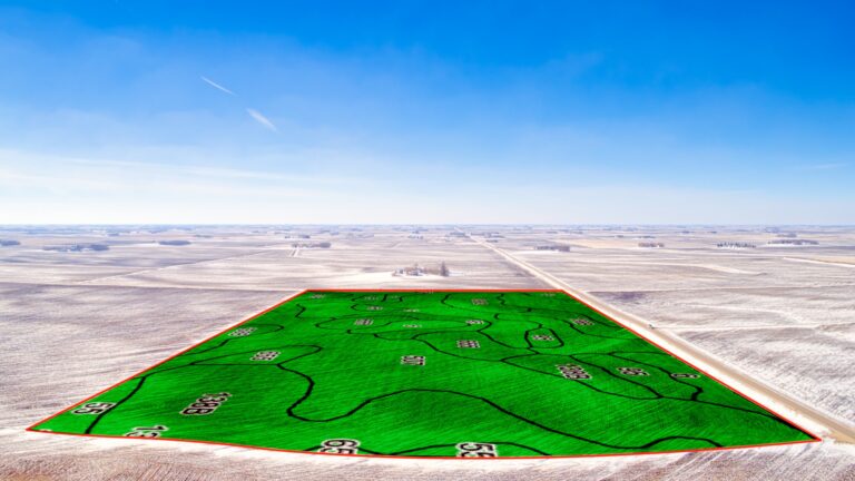 Soil Overlay From East