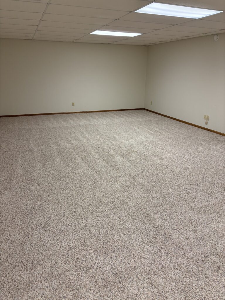 Basement Family Room