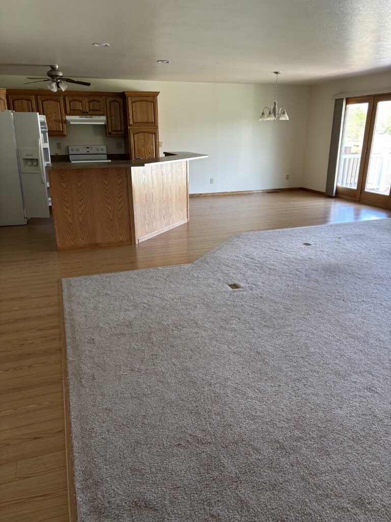 Living room, Kitchen, Dining