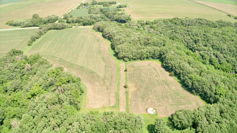 Cropland