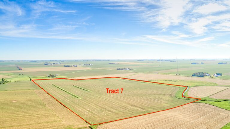 Tract 7 SW Corner (2)