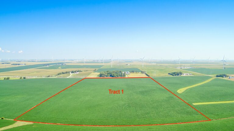 West Tract South Side