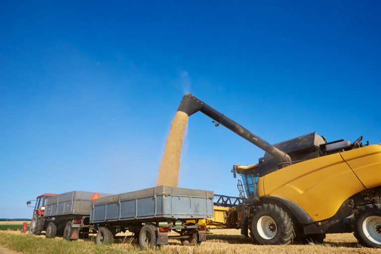Iowa corn at harvest, when flexible farm lease rent is determined
