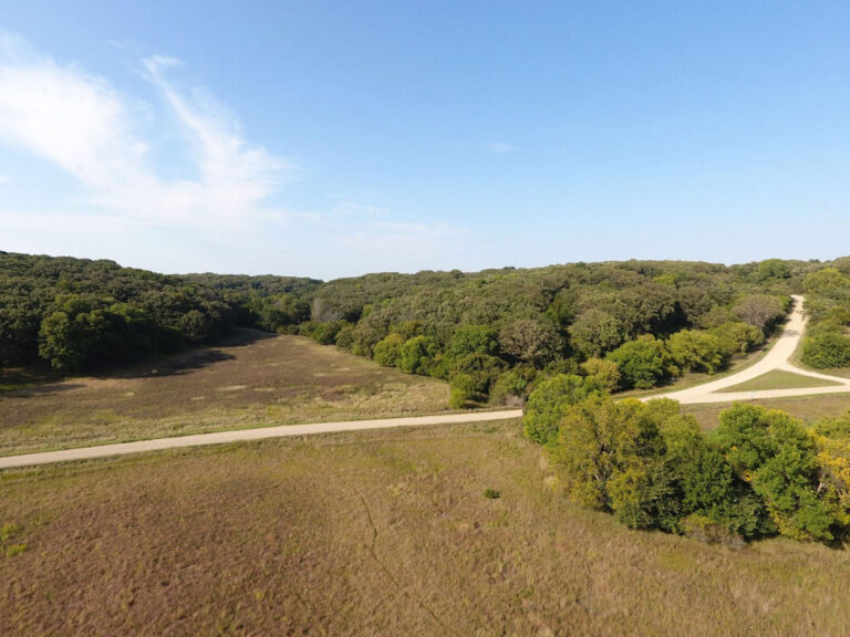 Timber and recreation ground on an 83-acre Clay County, Iowa farm