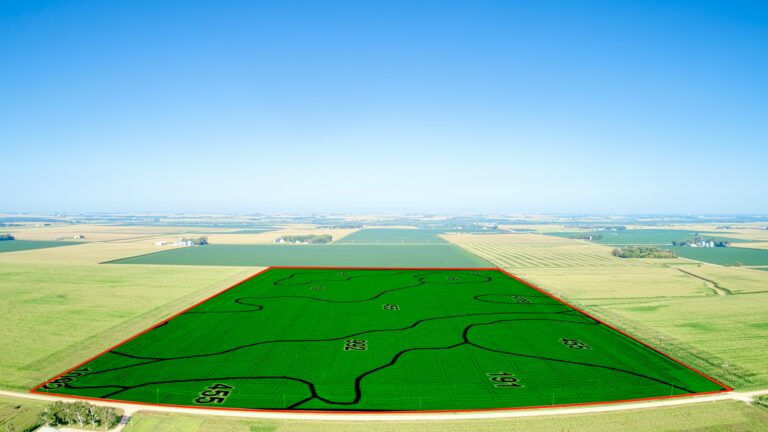Soil Overlay 1 (1)
